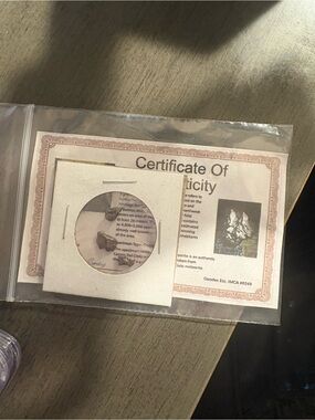 Certified Meteorite Fragment with Certificate - Brown/Tan